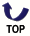 Return to Top of Page